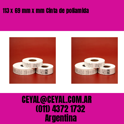 113 x 69 mm x mm Cinta de poliamida