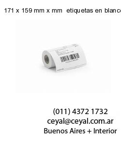 171 x 159 mm x mm  etiquetas en blanco