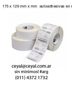 175 x 129 mm x mm  autoadhesivas en rollo