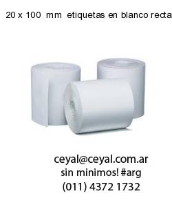 20 x 100  mm  etiquetas en blanco rectangulares
