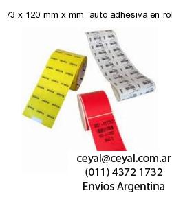 73 x 120 mm x mm  auto adhesiva en rollo