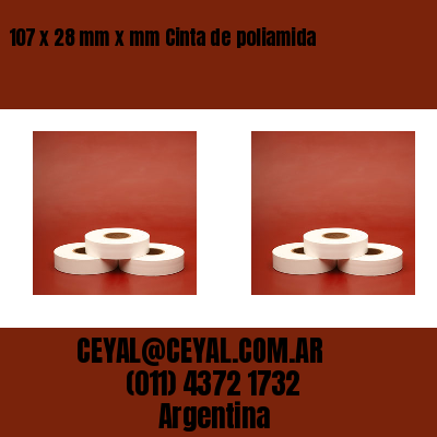 107 x 28 mm x mm Cinta de poliamida