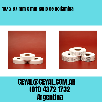 107 x 67 mm x mm Rollo de poliamida