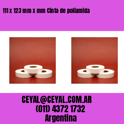 111 x 123 mm x mm Cinta de poliamida