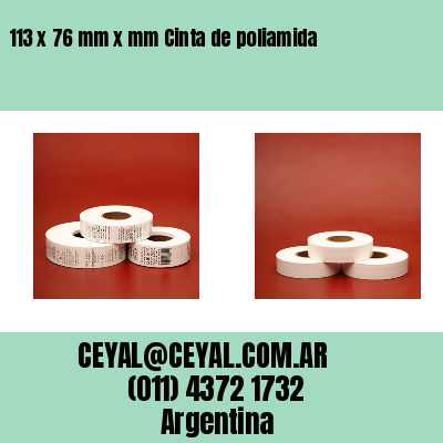 113 x 76 mm x mm Cinta de poliamida