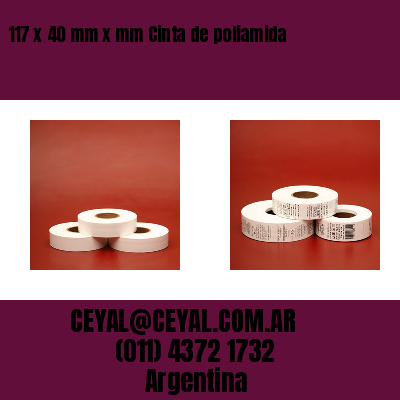 117 x 40 mm x mm Cinta de poliamida