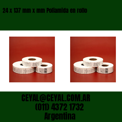 24 x 137 mm x mm Poliamida en rollo