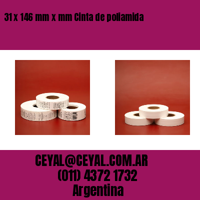 31 x 146 mm x mm Cinta de poliamida