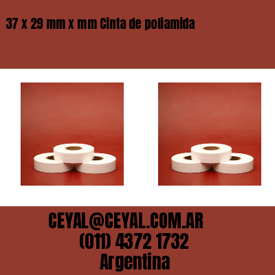 37 x 29 mm x mm Cinta de poliamida