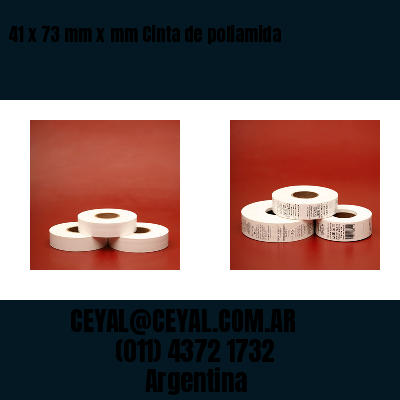 41 x 73 mm x mm Cinta de poliamida