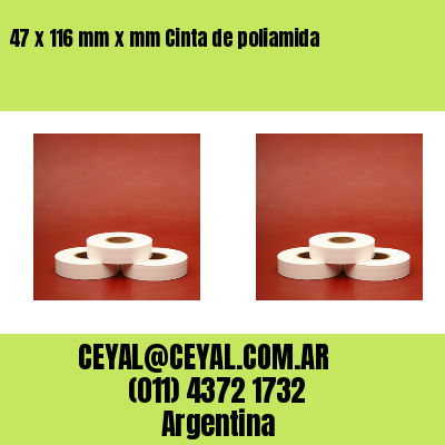 47 x 116 mm x mm Cinta de poliamida