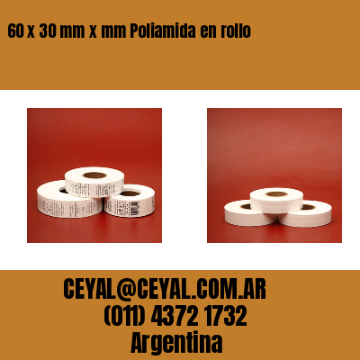 60 x 30 mm x mm Poliamida en rollo