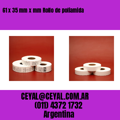 61 x 35 mm x mm Rollo de poliamida