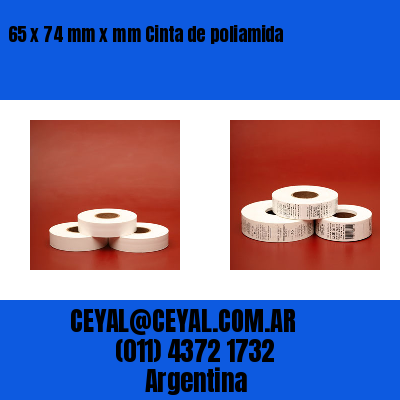 65 x 74 mm x mm Cinta de poliamida