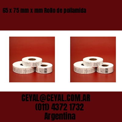 65 x 75 mm x mm Rollo de poliamida