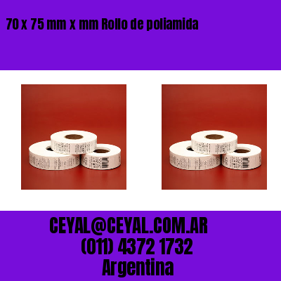 70 x 75 mm x mm Rollo de poliamida