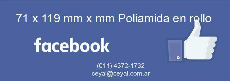 71 x 119 mm x mm Poliamida en rollo