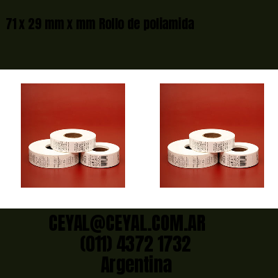 71 x 29 mm x mm Rollo de poliamida
