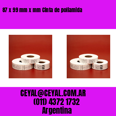 87 x 99 mm x mm Cinta de poliamida