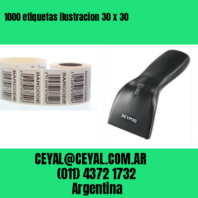 1000 etiquetas ilustracion 30 x 30