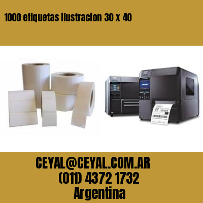 1000 etiquetas ilustracion 30 x 40