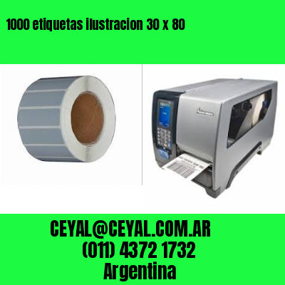 1000 etiquetas ilustracion 30 x 80