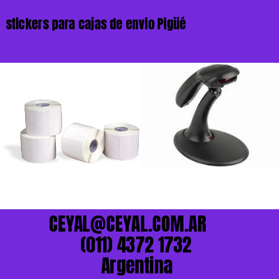 stickers para cajas de envio Pigüé