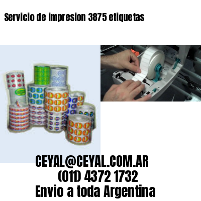 Servicio de impresion 3875 etiquetas