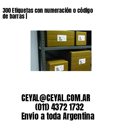 300 Etiquetas con numeración o código de barras |