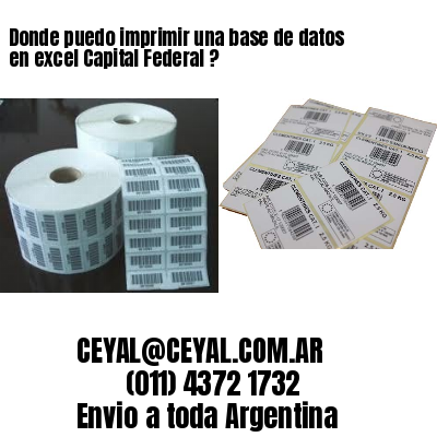 Donde puedo imprimir una base de datos en excel Capital Federal ?