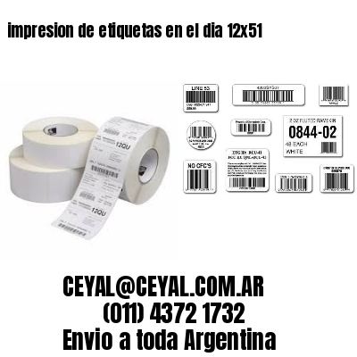 impresion de etiquetas en el dia 12×51
