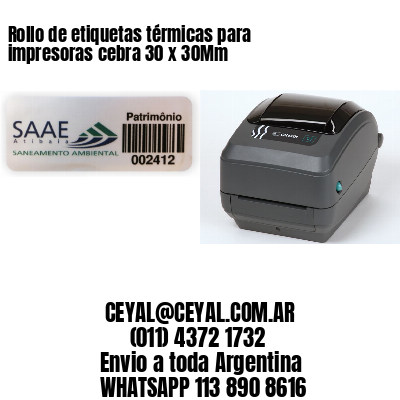 Rollo de etiquetas térmicas para impresoras cebra 30 x 30Mm