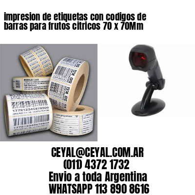 impresion de etiquetas con codigos de barras para frutos citricos 70 x 70Mm