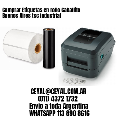 Comprar Etiquetas en rollo Caballito Buenos Aires tsc industrial