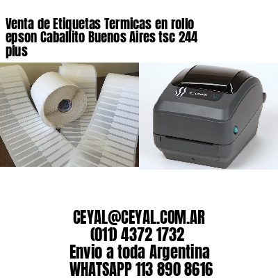 Venta de Etiquetas Termicas en rollo epson Caballito Buenos Aires tsc 244 plus