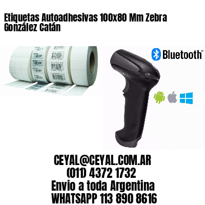Etiquetas Autoadhesivas 100x80 Mm Zebra  González Catán 