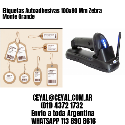 Etiquetas Autoadhesivas 100x80 Mm Zebra  Monte Grande 
