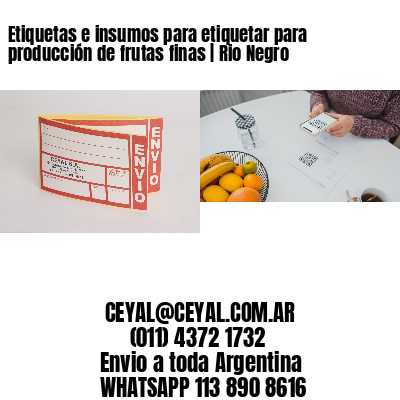 Etiquetas e insumos para etiquetar para producción de frutas finas | Rio Negro