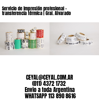 Servicio de impresión profesional – transferencia térmica | Gral. Alvarado