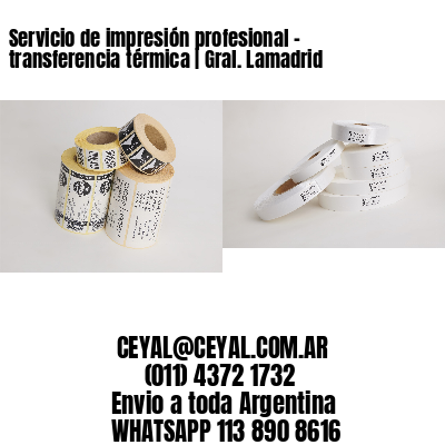 Servicio de impresión profesional – transferencia térmica | Gral. Lamadrid
