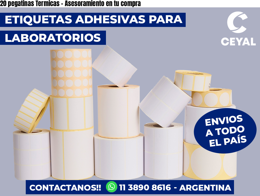 20 pegatinas Termicas - Asesoramiento en tu compra