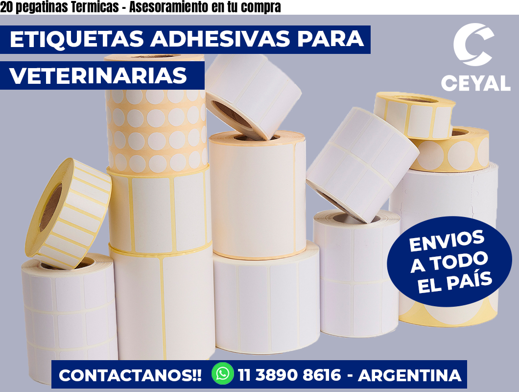 20 pegatinas Termicas - Asesoramiento en tu compra