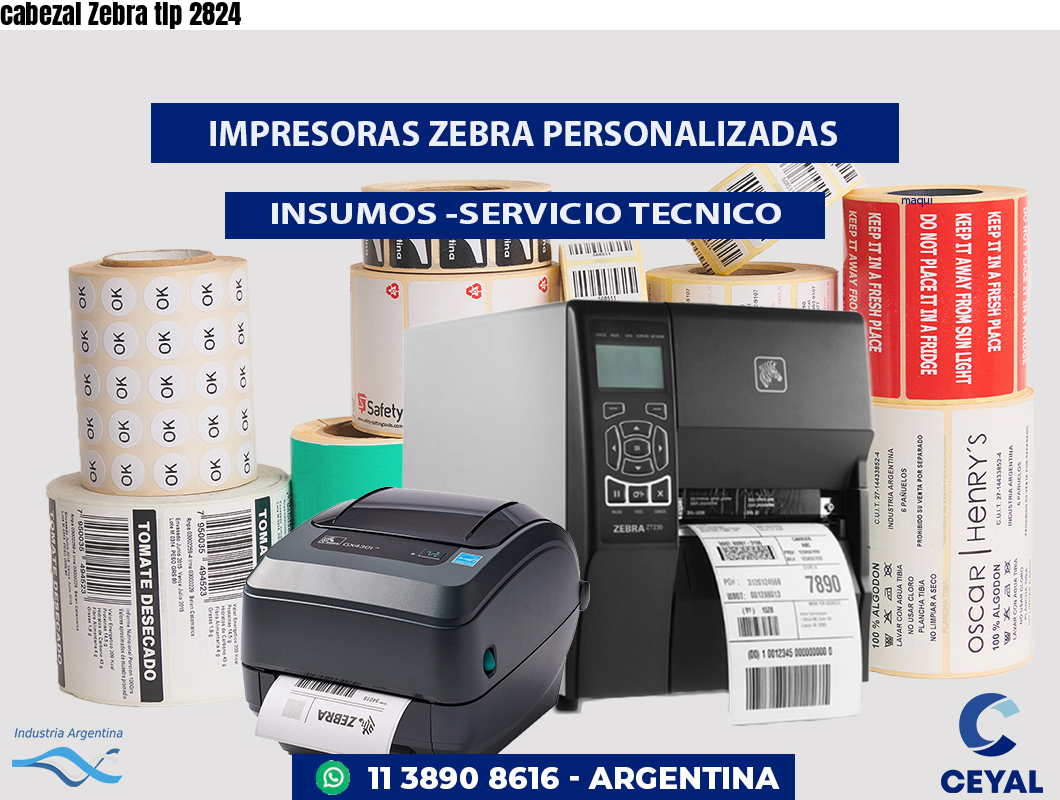 cabezal Zebra tlp 2824