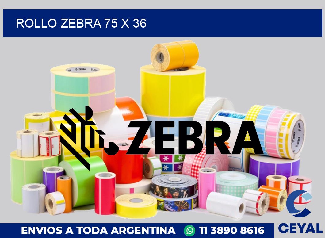 rollo zebra 75 x 36