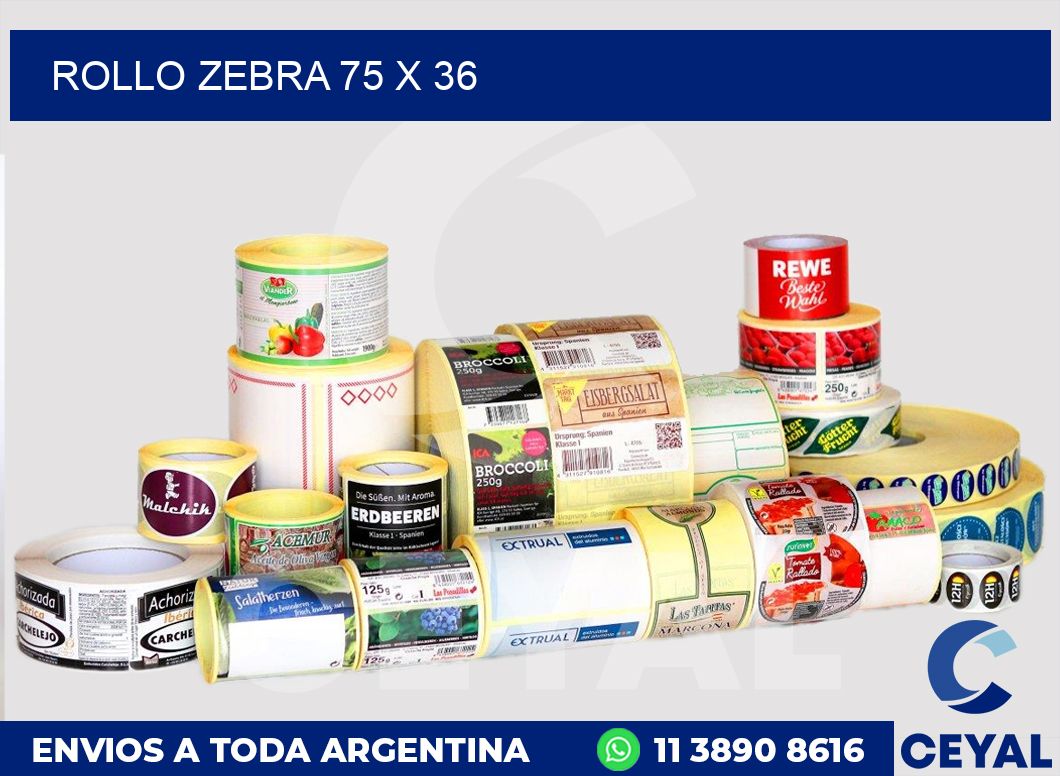 rollo zebra 75 x 36