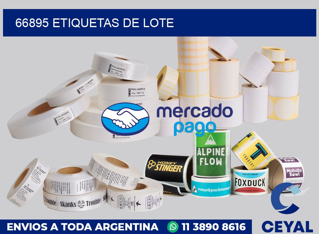 66895 Etiquetas de lote