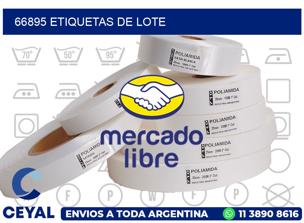 66895 Etiquetas de lote