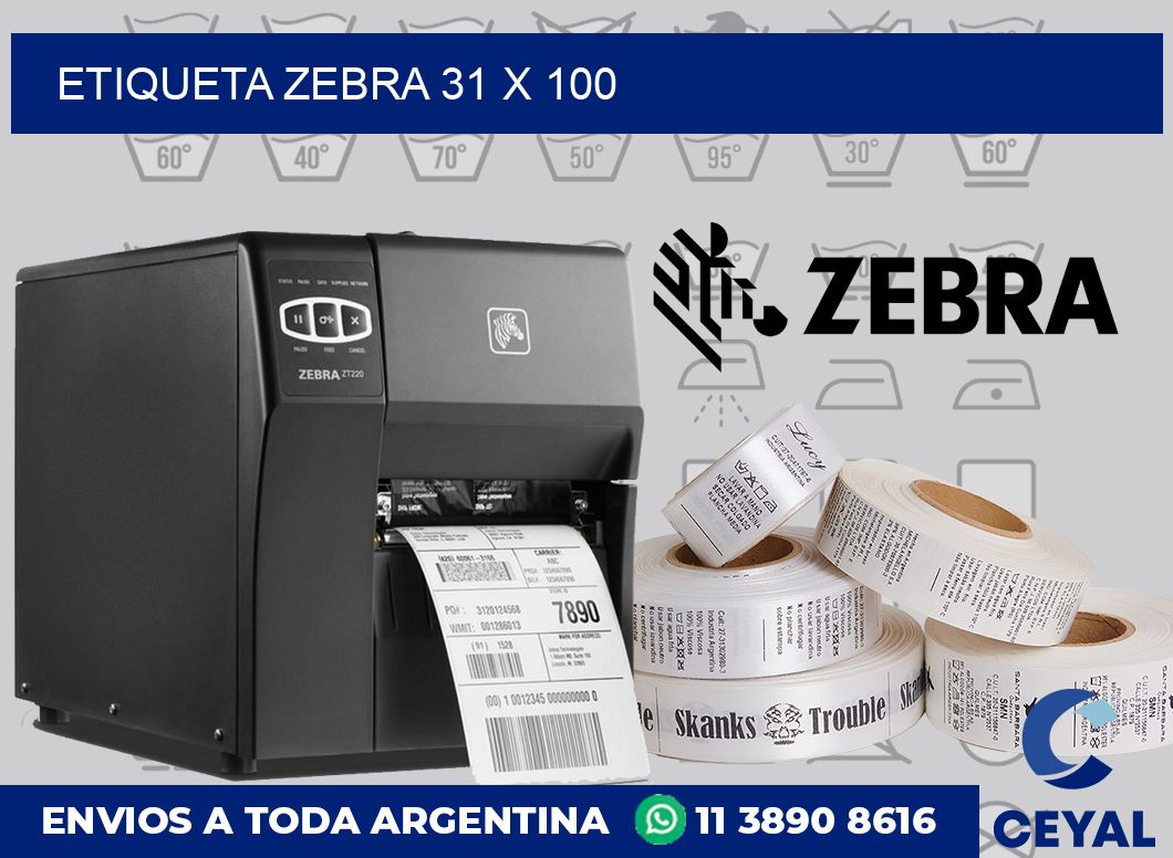 etiqueta zebra 31 x 100