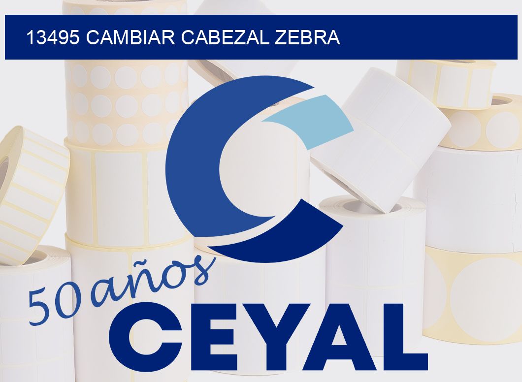 13495 CAMBIAR CABEZAL ZEBRA