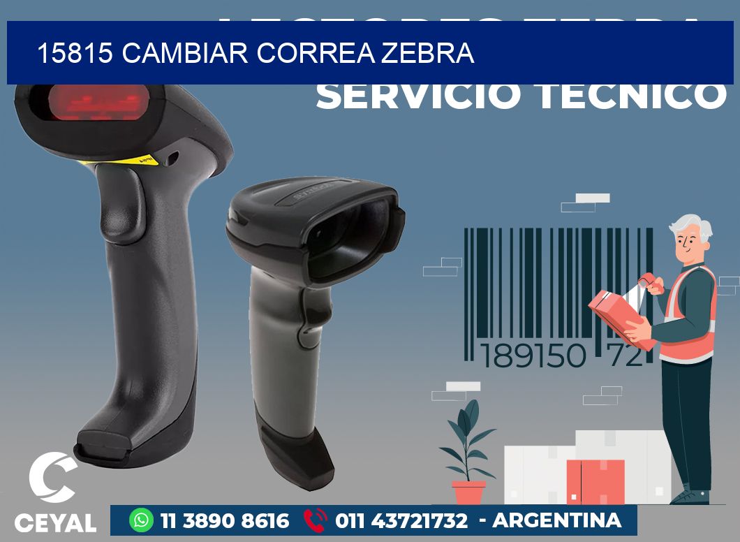 15815 CAMBIAR CORREA ZEBRA